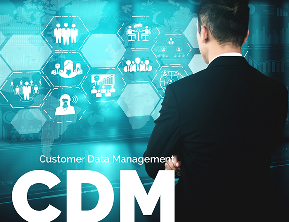 A Brief Guide to Customer Data Management